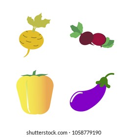 Vegetables icon set with 4 about eggplant, bell pepper, capsicum, root, red and turnip