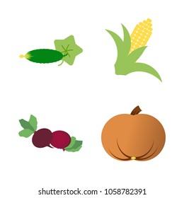 Vegetables icon set with 4 about red, pumpkin, corn, cucumber, gourd and beet