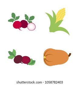 Vegetables icon set with 4 about radish, red, muslim, beet, gourd and corn