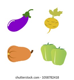 Vegetables icon set with 4 about long, aubergine, gourd, bell pepper, capsicum and pumpkin