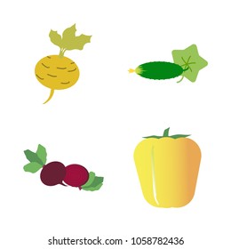 Vegetables icon set with 4 about cucumber, capsicum, bell pepper, yellow, beet and turnip