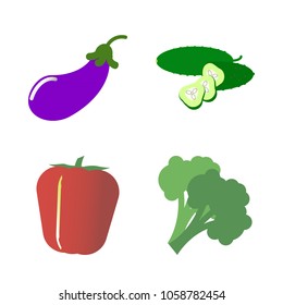 Vegetables icon set with 4 about eggplant, slice, green, broccoli, bell pepper and red