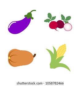Vegetables icon set with 4 about aubergine, eggplant, pumpkin, gourd, long and radish