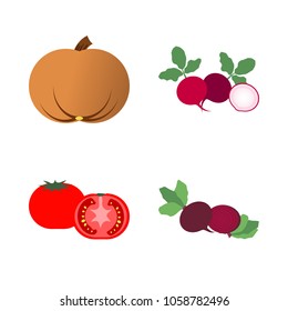 Vegetables icon set with 4 about gourd, tomato, beet, red, pumpkin and radish
