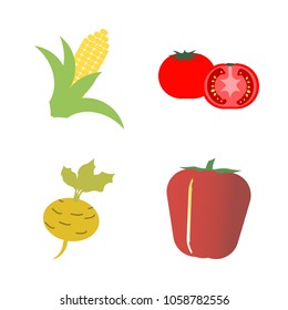 Vegetables icon set with 4 about red, root, tomato, turnip, capsicum and yellow