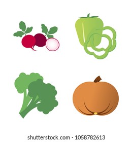 Vegetables icon set with 4 about slices, green, gourd, capsicum, bell pepper and radish