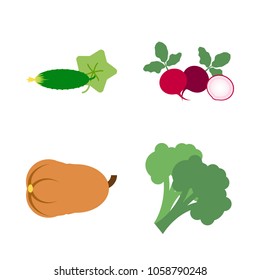 Vegetables icon set with 4 about long, green, pumpkin, cucumber, gourd and radish