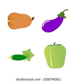 Vegetables icon set with 4 about long, muslim, aubergine, pumpkin, cucumber and capsicum
