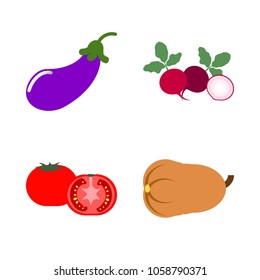 Vegetables icon set with 4 about eggplant, pumpkin, radish, tomato, muslim and long