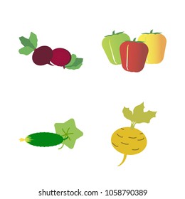 Vegetables icon set with 4 about beet, green, bell peppers, cucumber, yellow and turnip