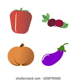 Vegetables icon set with 4 about eggplant, red, gourd, pumpkin, bell pepper and beet