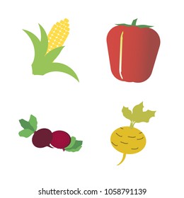 Vegetables icon set with 4 about root, red, beet, yellow, corn and capsicum