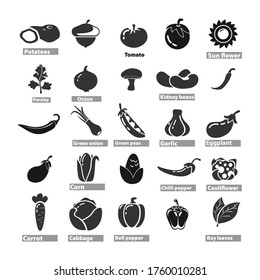 vegetables icon set with cucumber, garlic, bay leaves, eggplant, green peas, bell pepper, chili pepper, onion, parsley, tomato