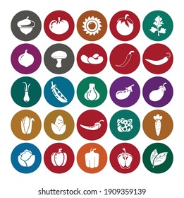 vegetables icon set with cucumber, garlic, bay leaves, eggplant, green peas, bell pepper, chili pepper, onion, parsley, tomato