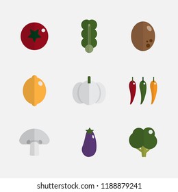 Vegetables icon set in flat style : tomato, lemon, cucumber, potato, mushroom, onion, carrot, chili, cabbage, broccoli, radish, garlic, pumpkin with colorful vector illustration collection.