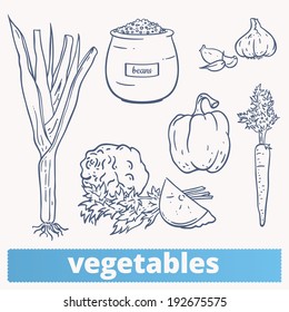 Vegetables icon set: hand drawn food sketch