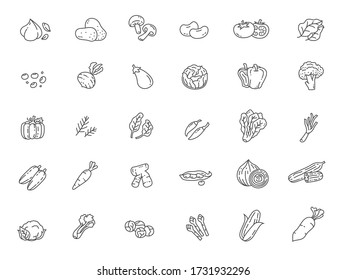 Vegetables icon set, line design