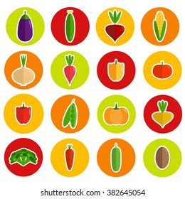 Vegetables icon set on circles. Colorful flat stickers. Organic food concept. Isolated elements. Vector illustration. Pumpkin, potato, radish, maize, tomato, eggplant, onion, broccoli, paprika, pea