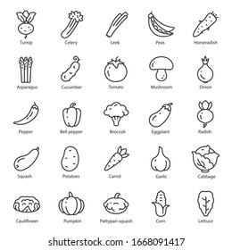 野菜 アイコン シンプル のイラスト素材 画像 ベクター画像 Shutterstock