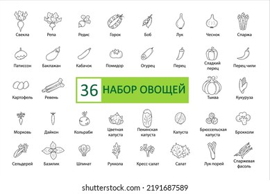 Vegetables icon set. Simple concise images of vegetables with names in Russian. Collection of icons in outlines. Vegetarianism. Tomato, turnip, cabbage, onions, carrots, corn and others. Vector, eps 