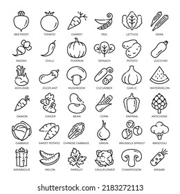 Vegetables icon set vector illustration in outline style