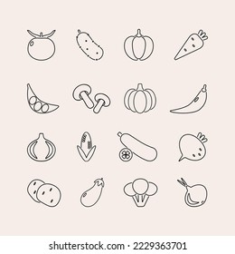 Vegetables icon set. Vector illustrations in linear style. Tomato, cucumber, pepper, carrot, pumpkin, onion and etc.