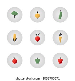 Vegetables icons flat set with broccoli, onion, cucumber, corn, beet, carrot, tomato, paprika