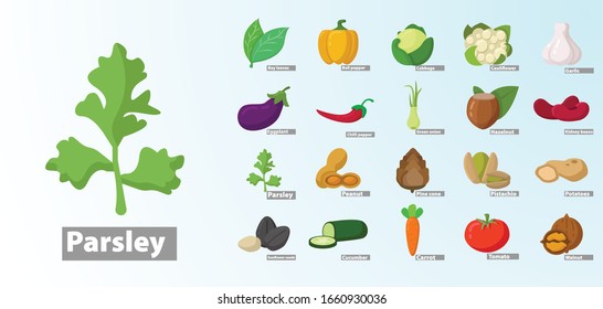 Vegetables icons flat set with pepper, potato, pistachios tomato