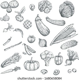 Vegetables icons. Hand draw. Skica.