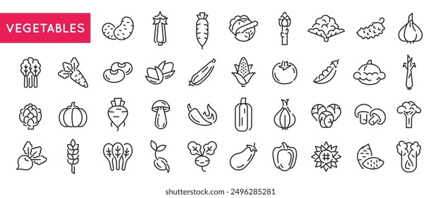 Vegetables icons. Large set of vegetables trendy minimal icons. Example: Potato, Carrot, Tomato, Broccoli, Garlic icon. Design signs for web page, mobile app, packaging design. Vector illustration.