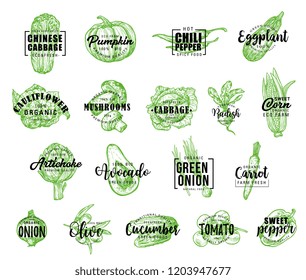 Vegetables icons with lettering, vector. Chinese cabbage and pumpkin, chili pepper, eggplant, cauliflower and mushrooms, cabbage, radish, corn and artichoke. Avocado, onion and carrot vector