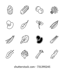 Vegetables icons - Lettuce, spinach, pea and beans