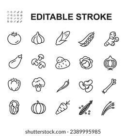 Vegetables icons in line style.Tomato, potato, paprika, corn, carrot, beans, pumpkin. Vector illustration.