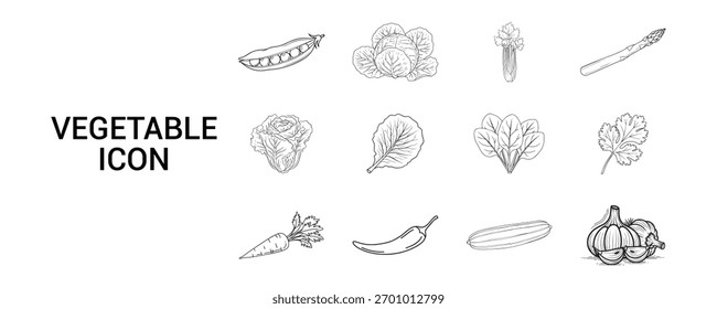  VEGETABLES ICONS ON WHITE BACKGROUND design, , isolated, illustration, vector, background, icon, blank, 