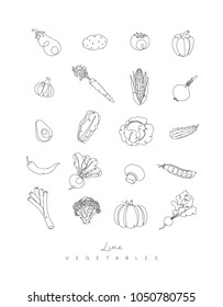 Vegetables icons in pen hand drawing lines style on white background
