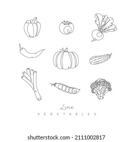 Vegetables icons pepper, tomato, beet, chili, pumpkin, cucumber, leek, peas, broccoli in pen hand drawing lines style on white background