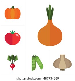 Vegetables Icons Set