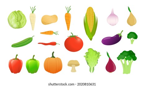 Vegetables icons set in cartoon style vector illustration. Collection set of farm vegetables isolated on white background, for element design banner decoration organic vegetarian day. 
