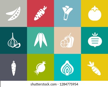 iconos de vegetales en la colección set para el diseño. Imagen web de símbolos de verduras y vitaminas.