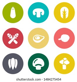 vegetables icons in set collection for design. Vegetables and vitamins symbols web illustration.