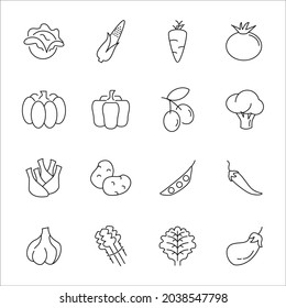 Vegetables icons set. Vegetables pack symbol vector elements for infographic web