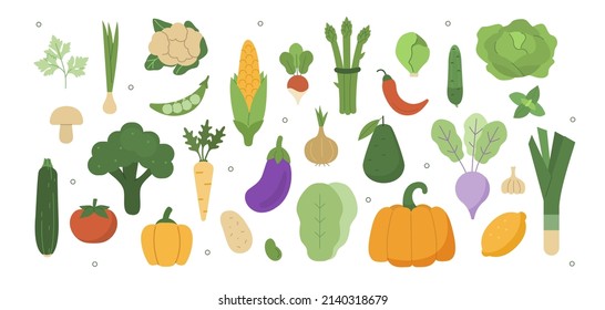 
Vegetables illustration set. Cabbage, broccoli, lettuce and other fresh organic vegetables. Balanced vegetarian and vegan diet concept. Vector illustration.