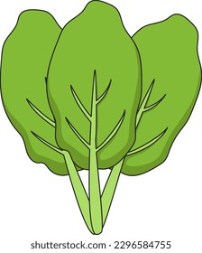 vegetables illustration, vector, healthy, organic, green, carrot, fruit, collection, design
