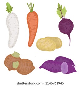 Vegetables include radish, carrot,on white background vector illustration design Health care concept