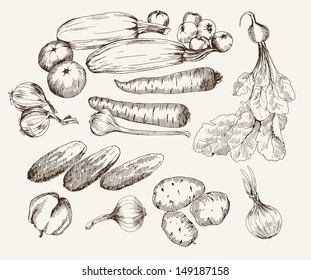 vegetables. ingredients for cooking