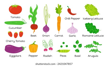 Vegetables with inscriptions cartoon set. Childish drawing vegetable carrot, cucumber, lettuce, pepper onion garlic etc. Hand drawn healthy diet farm product. Vegetarian baby menu. Vector for kids