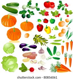 vegetables isolated collection