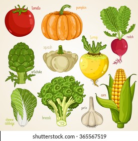 Vegetables isolated mix