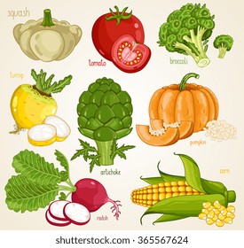 Vegetables isolated mix