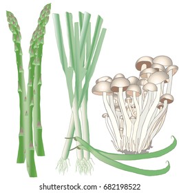 Vegetables Isolated on a white. Asparagus, Legumes and Mushrooms. Natural Food. Stock vector illustration.